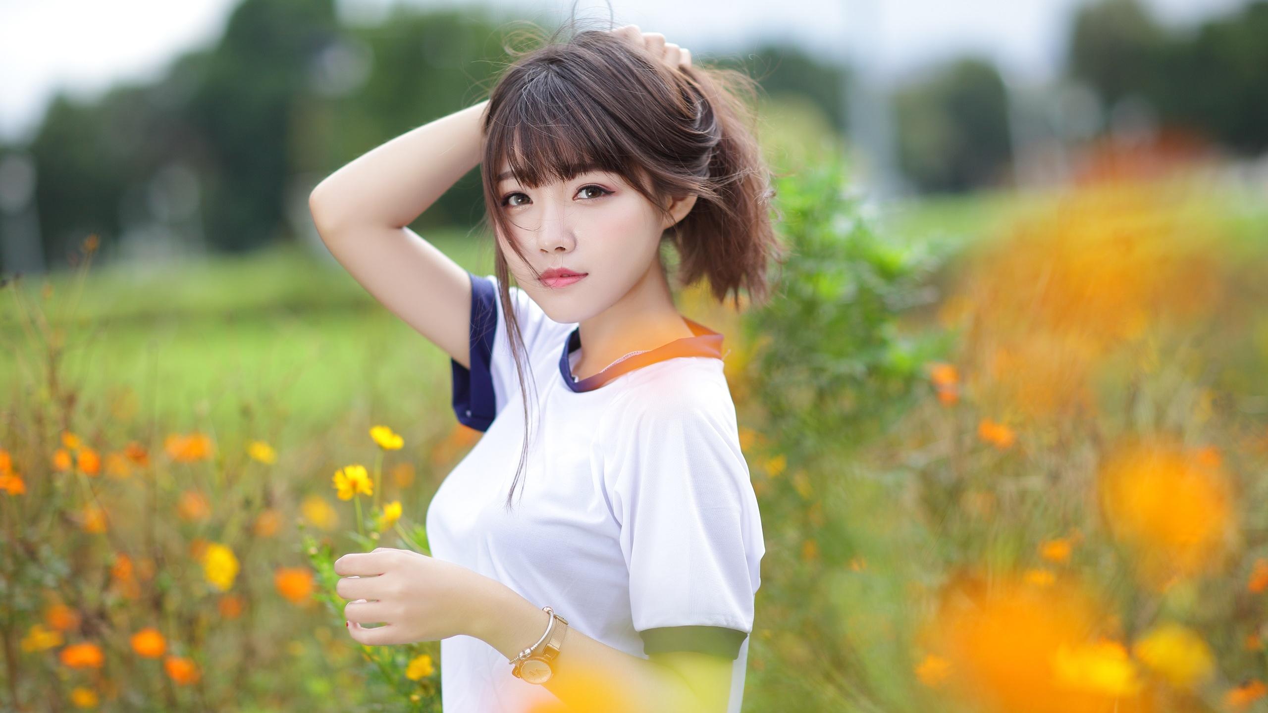 全季完结